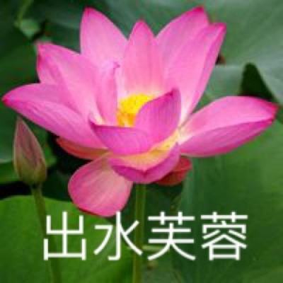 万国觉醒华为版下载